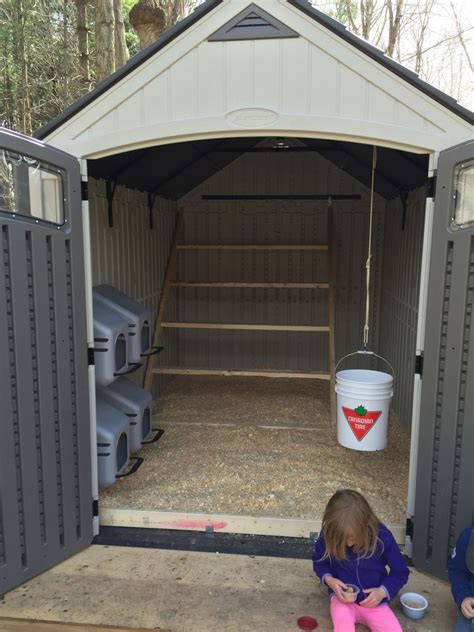 plastic storage shed chicken co-op